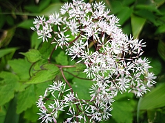 IMG_4872 IMG_4872