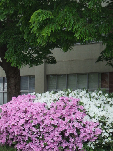 DSCF5294