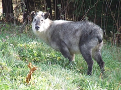 DSCF2301