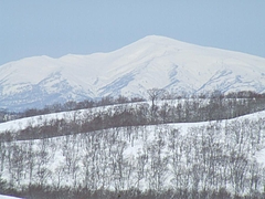 DSCF3294