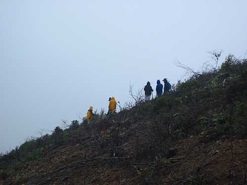 IMG_6477 IMG_6477