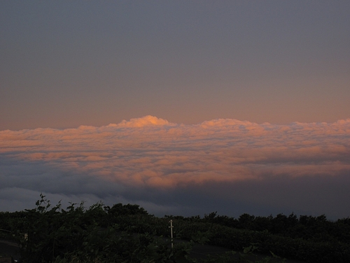 IMG_4925 IMG_4925