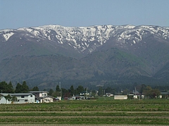DSCF3805