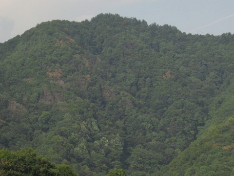 IMG_7360 IMG_7360