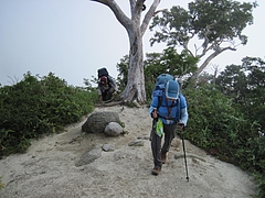 IMG_0988