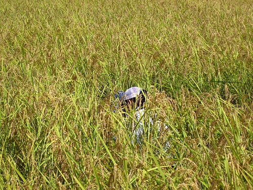 IMG_5898 IMG_5898