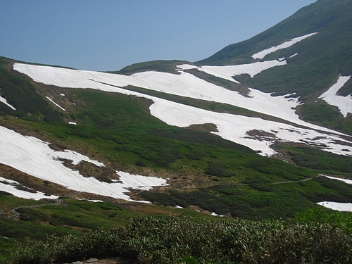 IMG_4849 IMG_4849