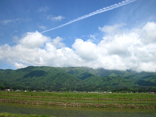 IMG_4303 IMG_4303