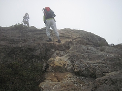 IMG_1272