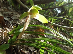 DSCF3808