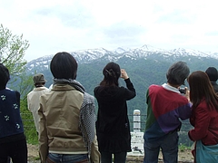 DSCF3954