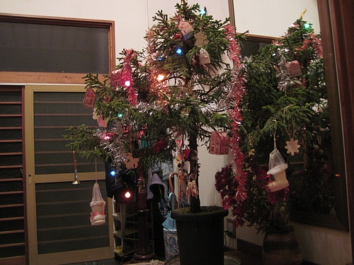 IMG_7096 IMG_7096