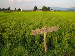 IMG_7397 IMG_7397