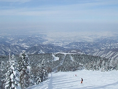 DSCF2808