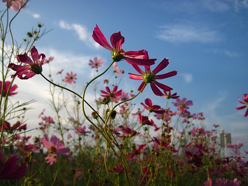IMG_5663 IMG_5663