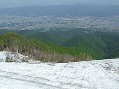 DSCF4101
