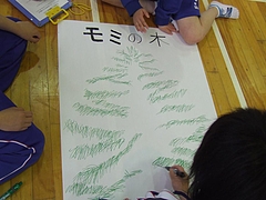 DSCF4301