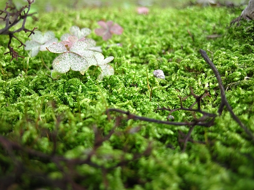 IMG_0359 IMG_0359