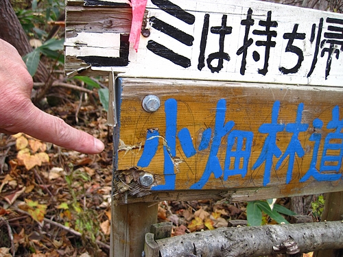 IMG_6759 IMG_6759