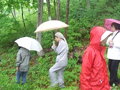 DSCF4003