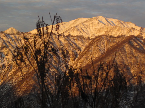 IMG_2436 IMG_2436