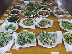 DSCF4022