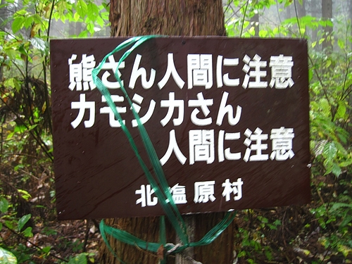 IMG_6400 IMG_6400