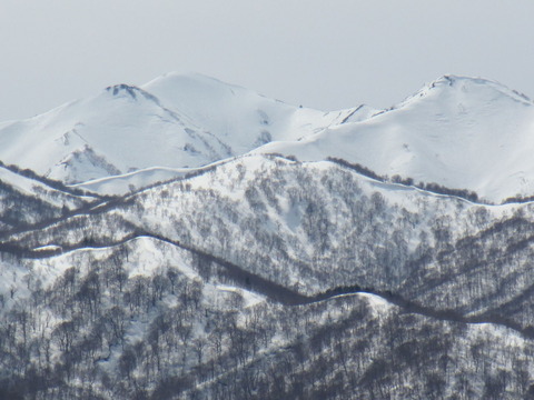 IMG_0189