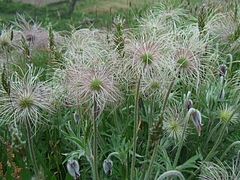 DSCF3856