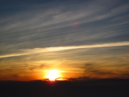 IMG_5556 IMG_5556
