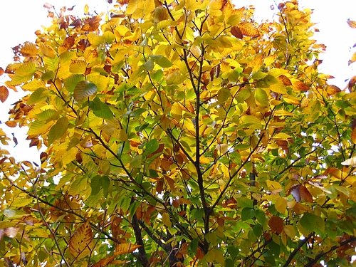 IMG_6580 IMG_6580