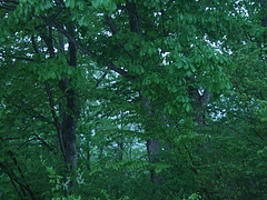 DSCF4000