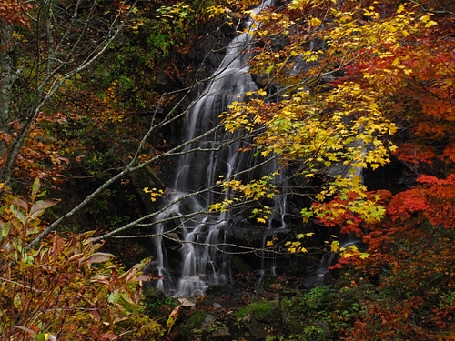 IMG_6406 IMG_6406