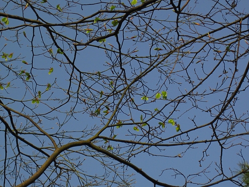 IMG_3693 IMG_3693