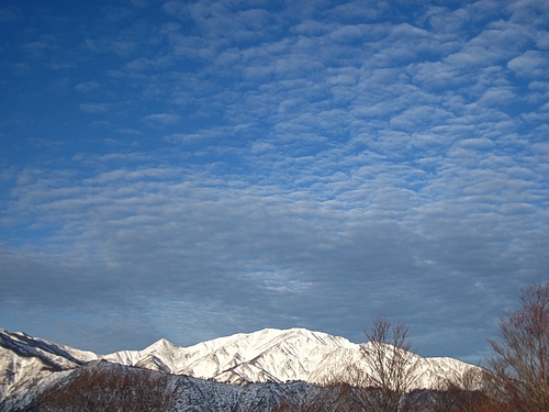 IMG_2459 IMG_2459