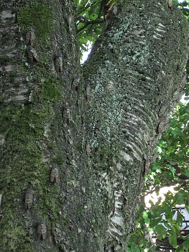 IMG_0553 IMG_0553