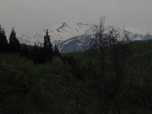 IMG_3966 IMG_3966