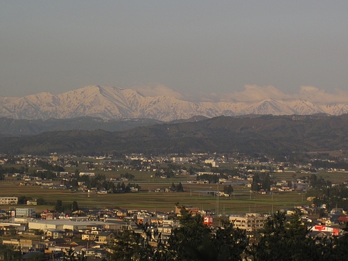 IMG_3874 IMG_3874
