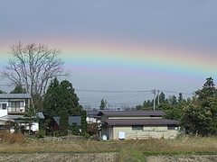 DSCF2115