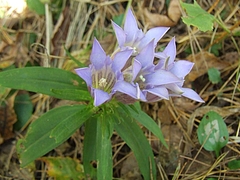 DSCF2189