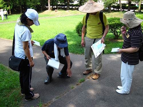 IMG_5338 IMG_5338