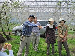 IMG_3795 IMG_3795