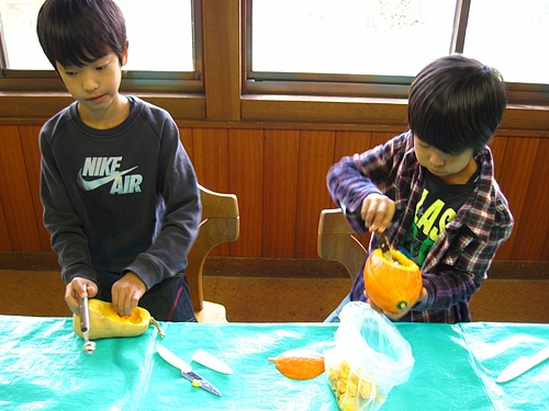 IMG_6596 IMG_6596