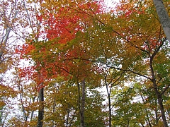 DSCF2152