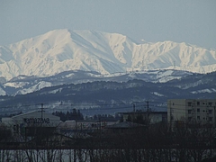 DSCF3168