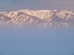 DSCF2834