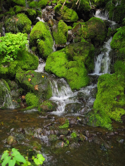 IMG_3970