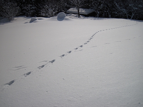 IMG_3558 IMG_3558