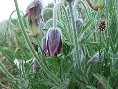 DSCF3850