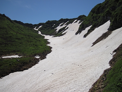 IMG_4733 IMG_4733
